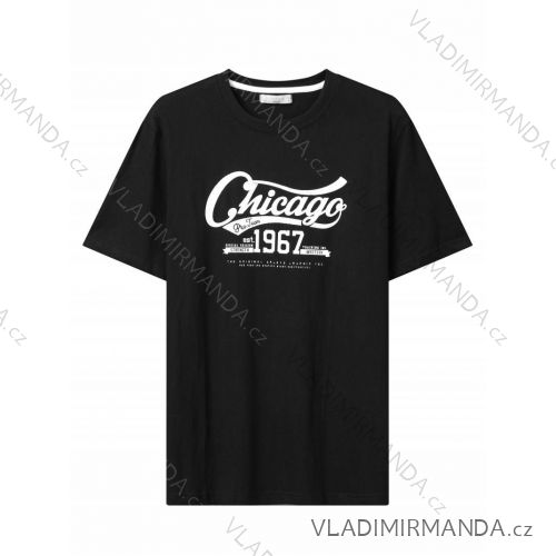 Tričko krátky rukáv pánske (M-2XL) GLO-STORY GLO24MPO-3517