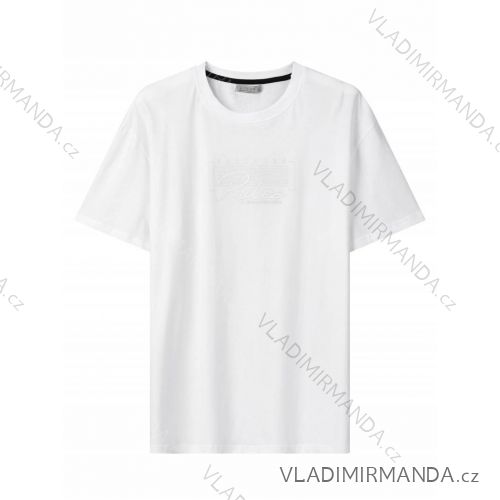 Tričko krátky rukáv pánske nadrozmer (3XL-5XL) GLO-STORY GLO24MPO-3510