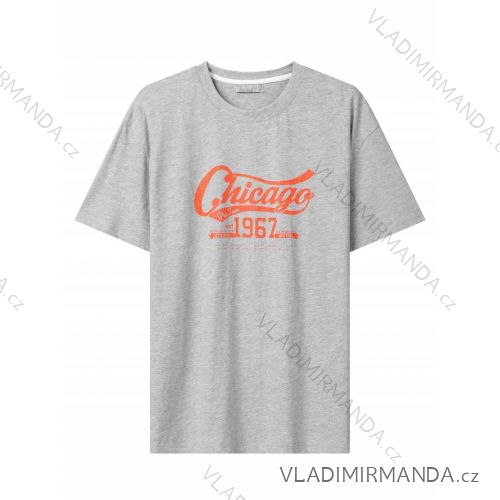 Tričko krátky rukáv pánske nadrozmer (3XL-6XL) GLO-STORY GLO24MPO-3535