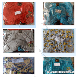 Katalog Boxerky dojčenské a detské Chlapčenské (2-6 rokov) WD WD24BOXER