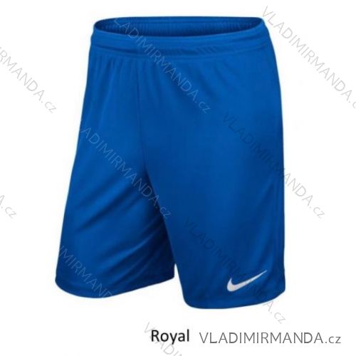 Kraťasy šortky letní nike dorost chlapecké a pánské (S-XL) SETINO BV6855-463