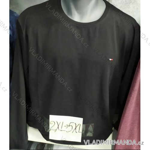Mikina dlhý rukáv pánska (2XL-5XL) TURECKÁ MODA TMF20007