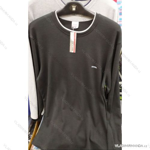 Tričko pánské  (3xl-6XL) DYNAMIC BES20395