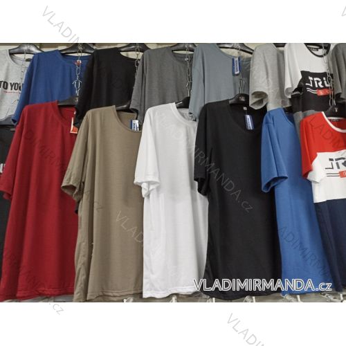 Tričko krátky rukáv pánske nadrozmer (4XL-9XL) DUNAUONE DUN22001